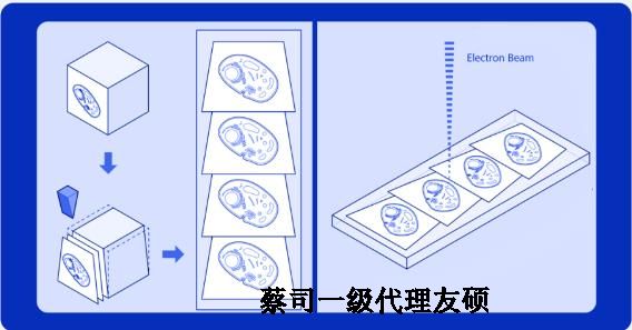 常州蔡司常州扫描电镜