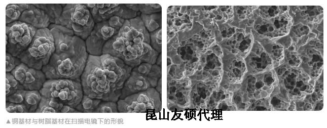 常州蔡司常州扫描电镜